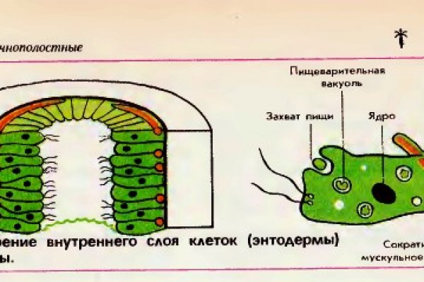 Кракен даркнет рабочая ссылка