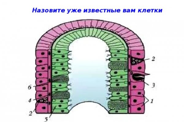 Кракен даркнет 2krnmarket